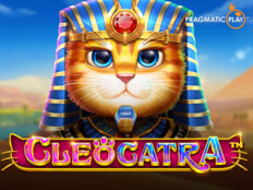 Erdoğan erken seçim açıklaması. Jackpot casino slot.86